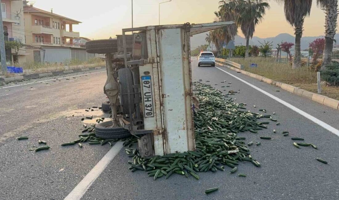 Antalya’nın Gazipaşa ilçesinde sürücüsünün direksiyon hakimiyetini kaybettiği kamyonet, kontrolden çıkıp
