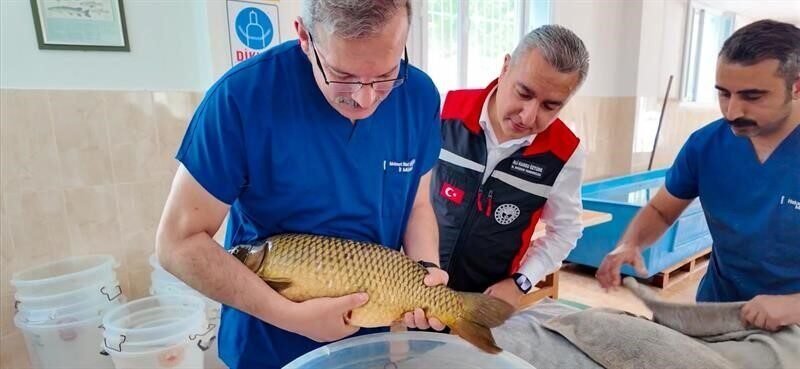 Adana İl Tarım ve Orman Müdürlüğü Su Ürünleri Üretim İstasyonunda