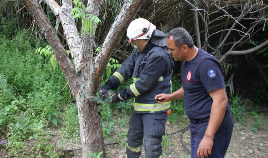Serik’te bir evin bahçesinde balık ağlarına dolanan yılanı, itfaiye ekipleri