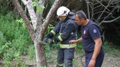 Serik’te bir evin bahçesinde balık ağlarına dolanan yılanı, itfaiye ekipleri