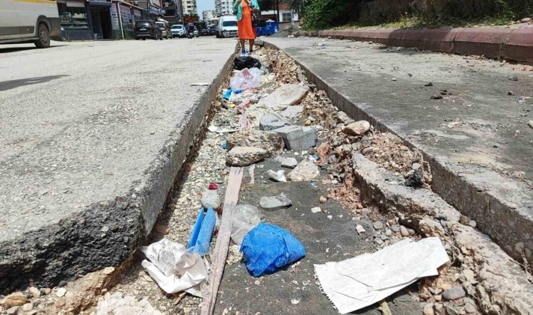 Adana’nın Pınar Mahallesi’nde Seyhan Belediyesi çöp toplamayıp bozuk yolları yapmayınca,