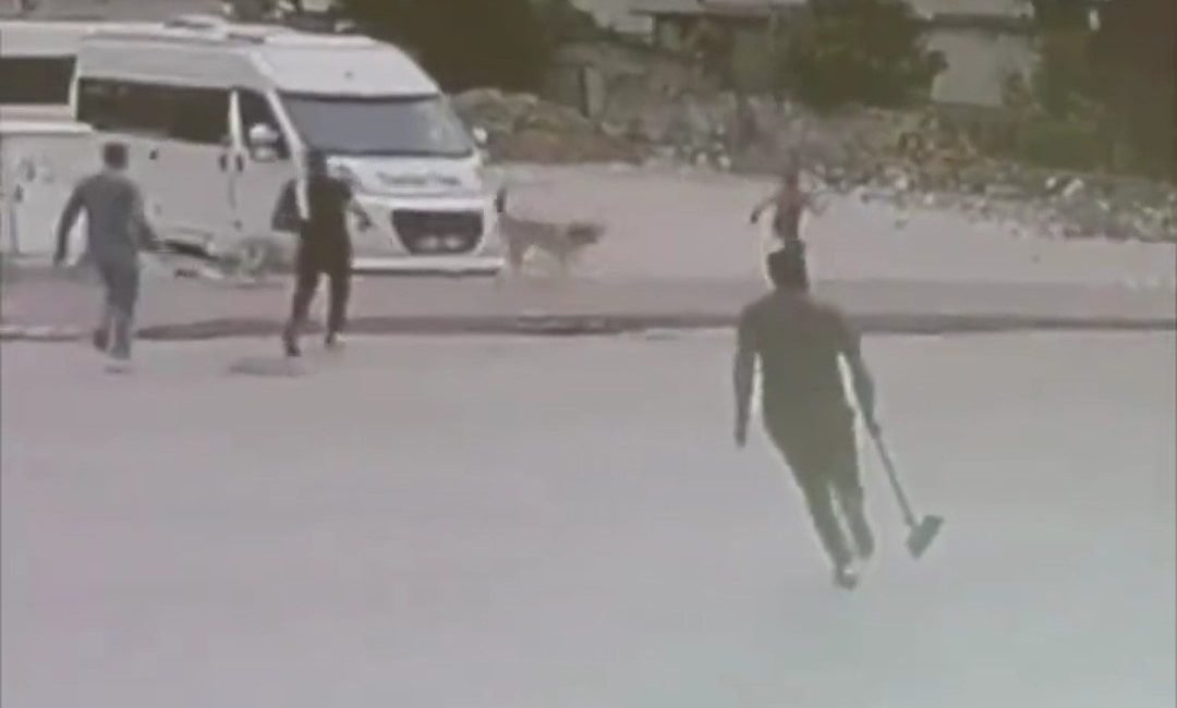 Adana’nın Ceyhan ilçesinde sokak köpekleri bir çocuğa saldırdı. Olay, 1