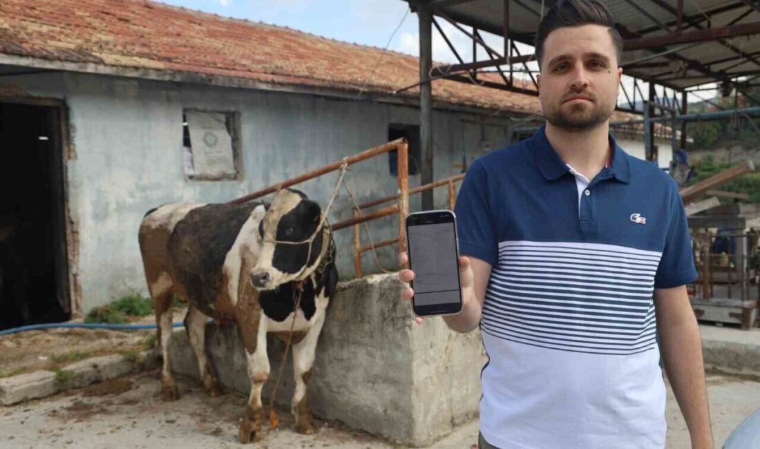 Hatay’da sosyal medya üzerinden gördüğü 2 kurbanlık tosunu almak istediği