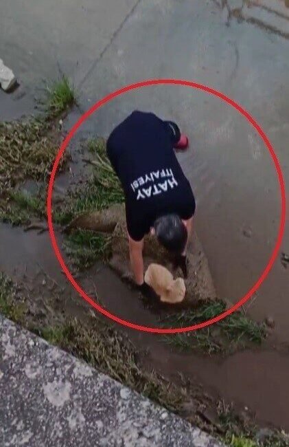 Hatay’ın Payas ilçesinde su kanalında mahsur kalan kediyi itfaiye ekipleri