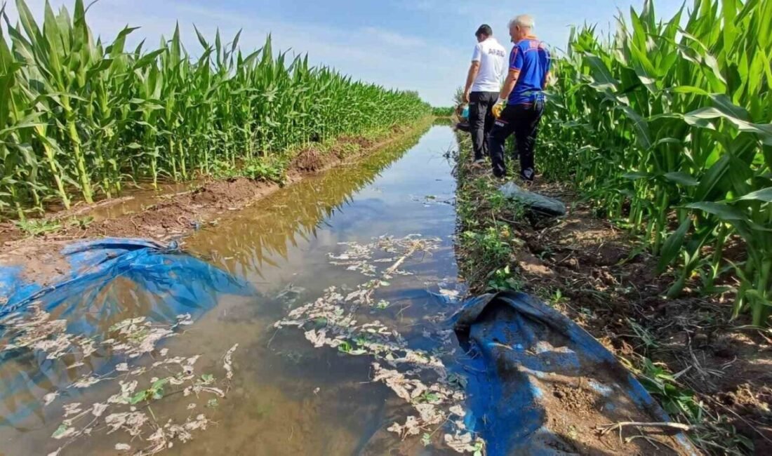 Osmaniye’de bir kişi çalışmak için gittiği tarla kenarındaki sulama kanalı