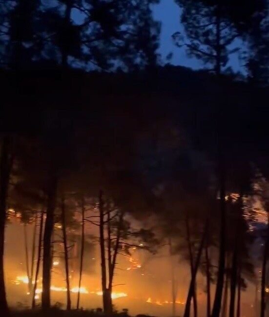 Mersin’in Tarsus ilçesi sınırlarında çıkan orman yangını, ekiplerin müdahalesiyle söndürüldü.