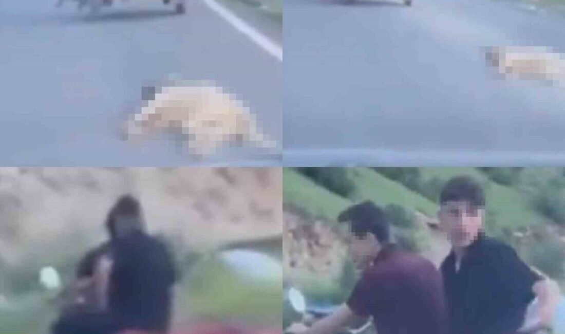 Kahramanmaraş’ta motosikletin arkasına bağlanan telef olmuş köpeği yolda sürükleyen şahsa