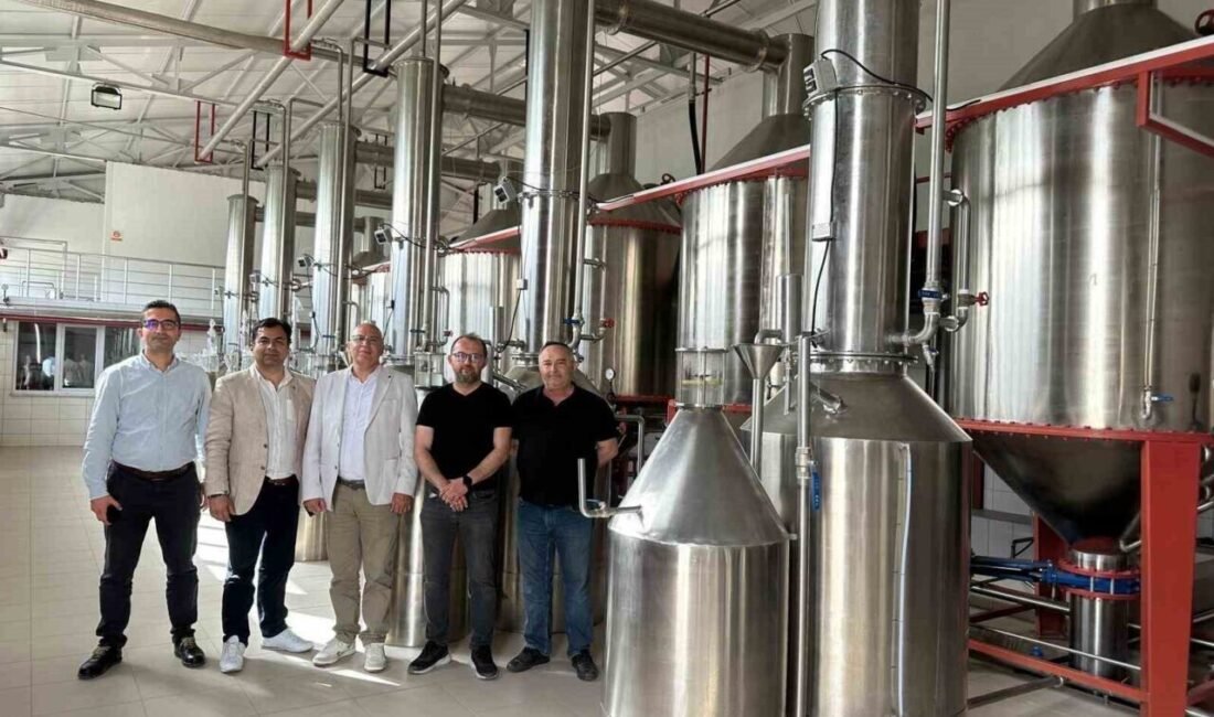 Tıbbi ve aromatik bitkilere dayalı yüksek katma değerli üretim yatırımları,