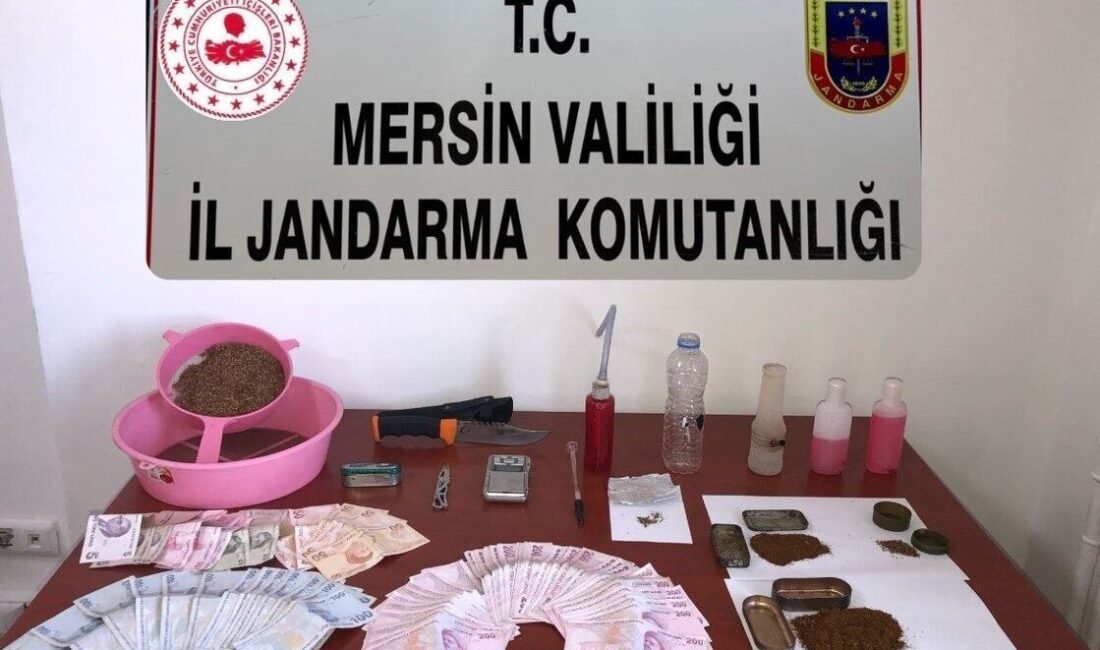 Mersin’in Aydıncık ilçesinde jandarma ekiplerinin yaptığı çalışmayla yakalanan şüpheli, uyuşturucu