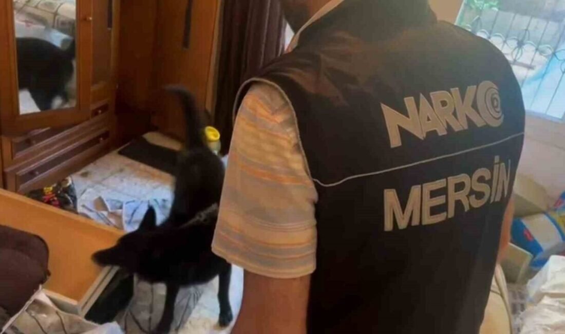 Mersin polisinin yaptığı çalışmada uyuşturucu madde ticareti yapan şüpheli 9