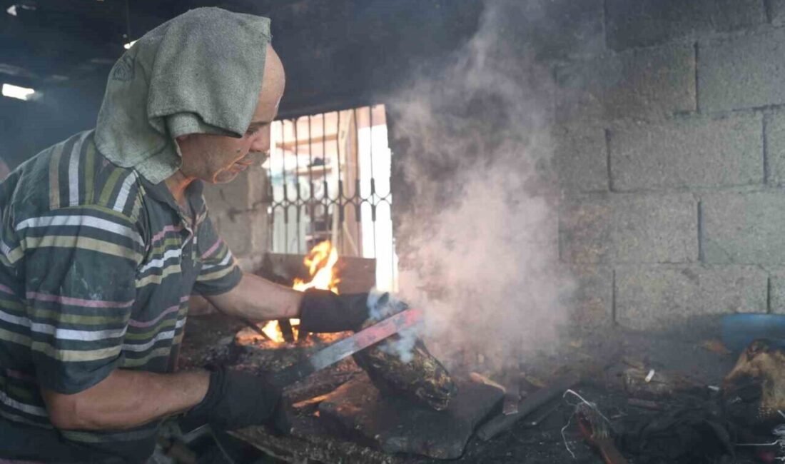 Adana’da aralarında demirci ustalarının da olduğu 14 kişilik ekip, 100