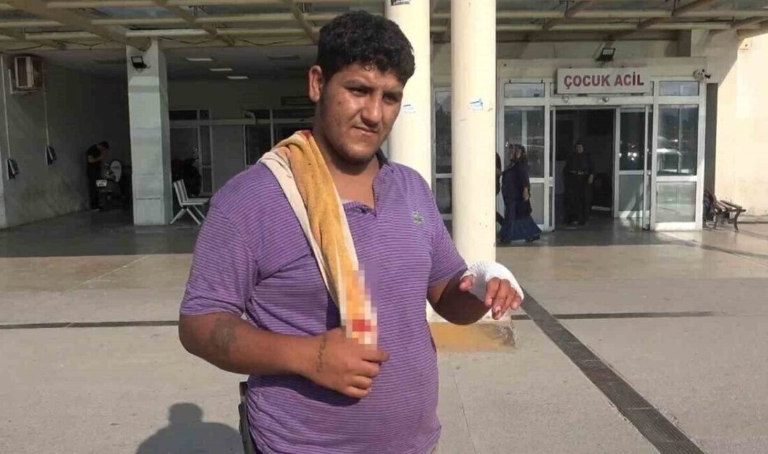 Adana’da bayramın ilk gününde şimdiye kadar 194 acemi kasap, çeşitli