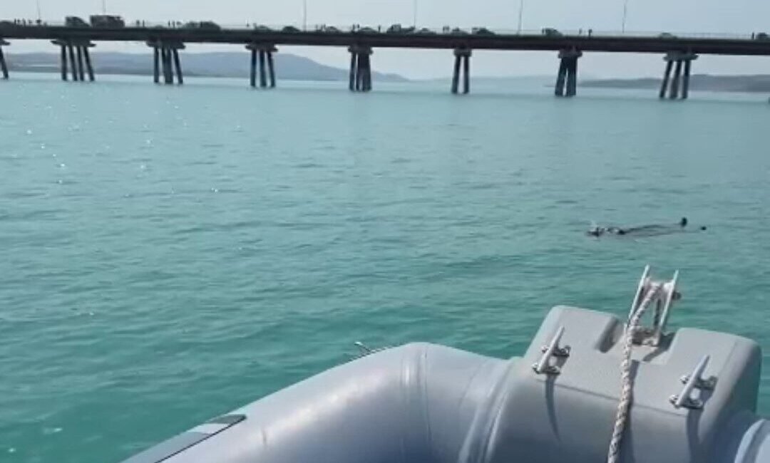 Adana’da Seyhan Baraj Gölü’ne düşen kadını gemi adamlar son anda