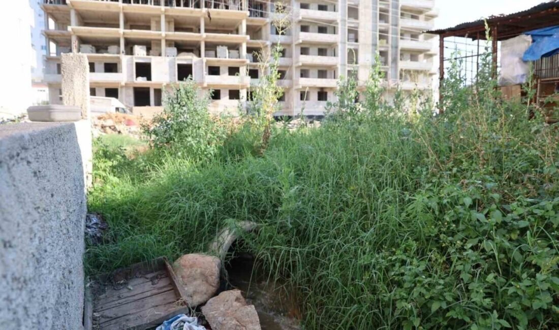 Adana’nın Kozan ilçesine bağlı bir mahallede lağım kokusu ve sinek