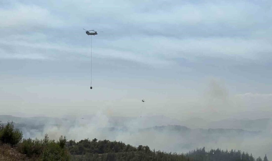 Adana’da orman yangını kontrol altında: 6 gözaltı Adana’nın Çukurova ilçesinde ormanlık alanda çıkan yangın, ekiplerin havadan ve
