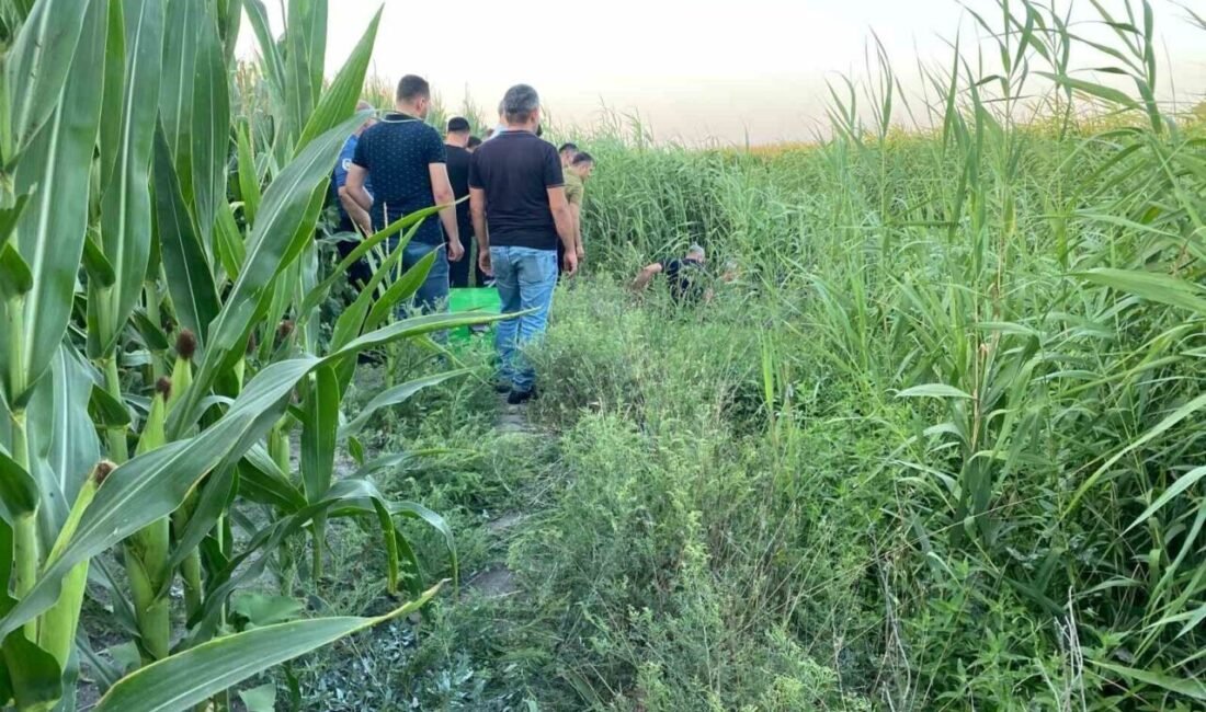 Adana’nın Ceyhan ilçesinde dere yatağında sazlıklar arasında bir kişi ölü