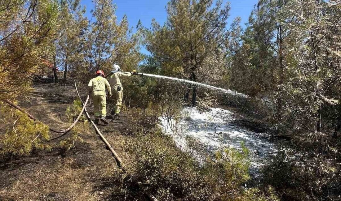 Adana’da çıkan orman yangını ekiplerin zamanında müdahalesiyle söndürüldü. Bölgede son