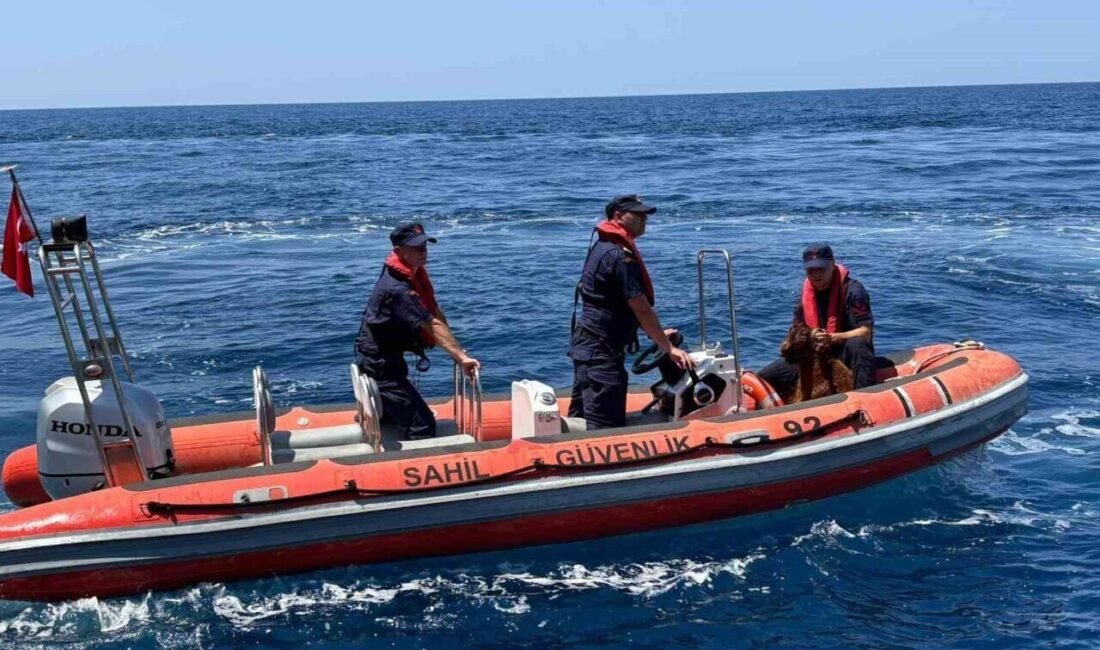 Antalya’nın Alanya ilçesinde Alanya Kalesi kayalık bölgesinde mahsur kalan bir