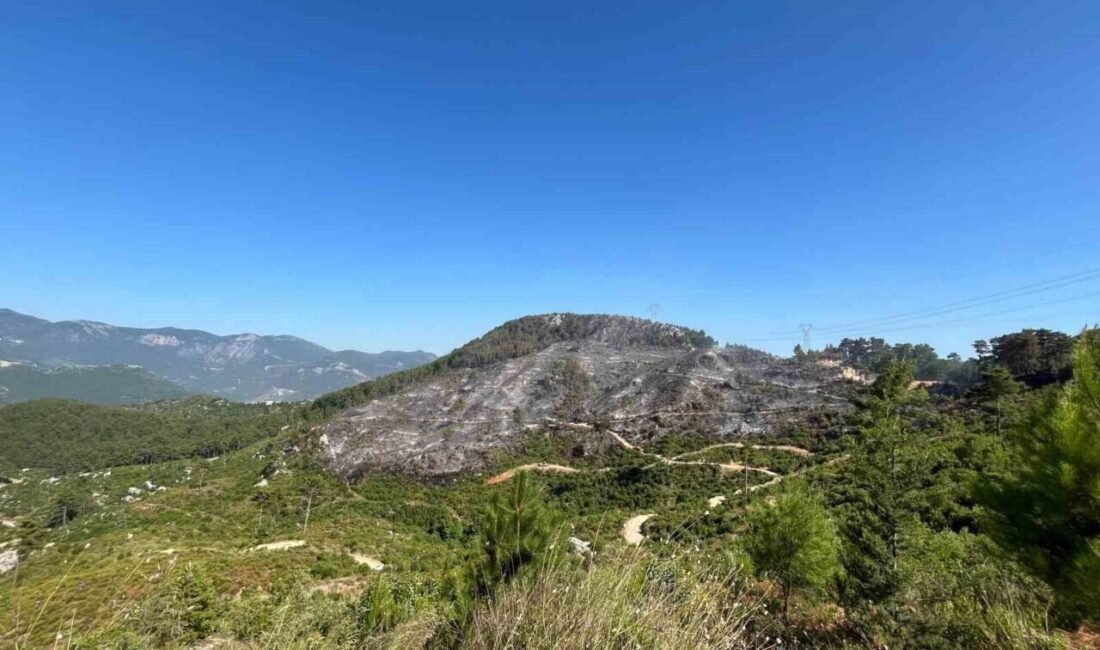 Antalya’nın Alanya ilçesinde sabah saatlerinde Mahmutseydi Mahallesi Kızılalan mevkiinde çıkan