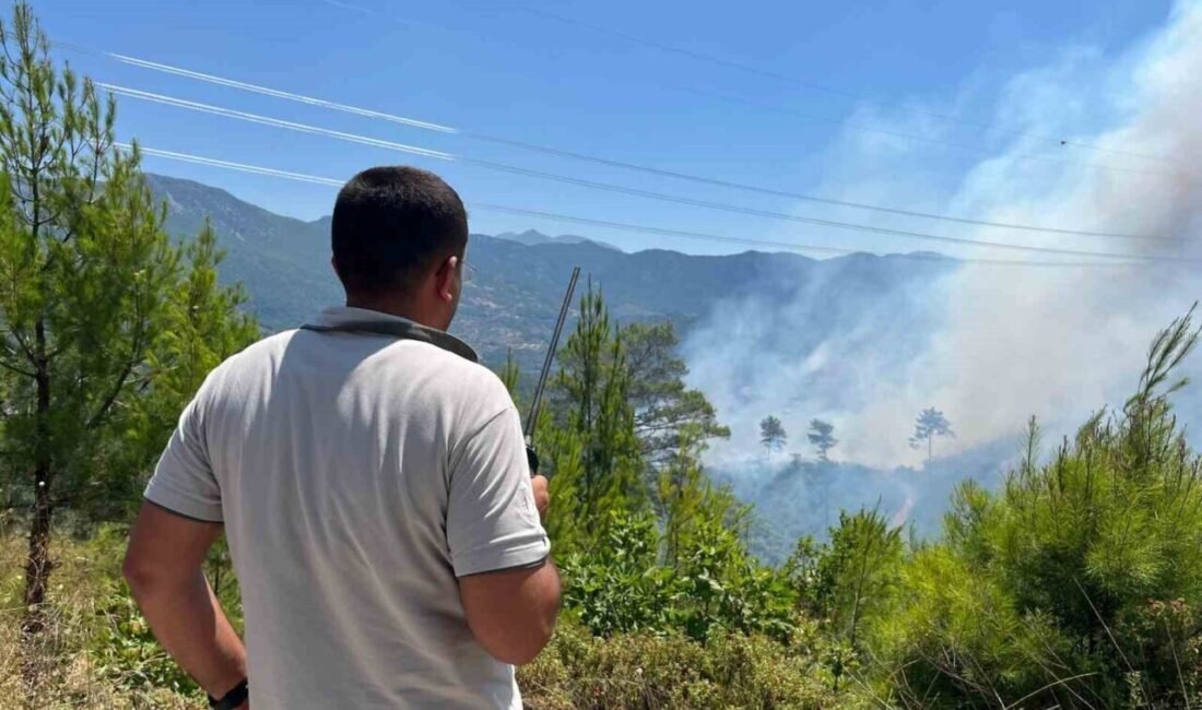 Antalya’nın Alanya ilçesinde sabah saatlerinde başlayan orman yangınının kontrol altına