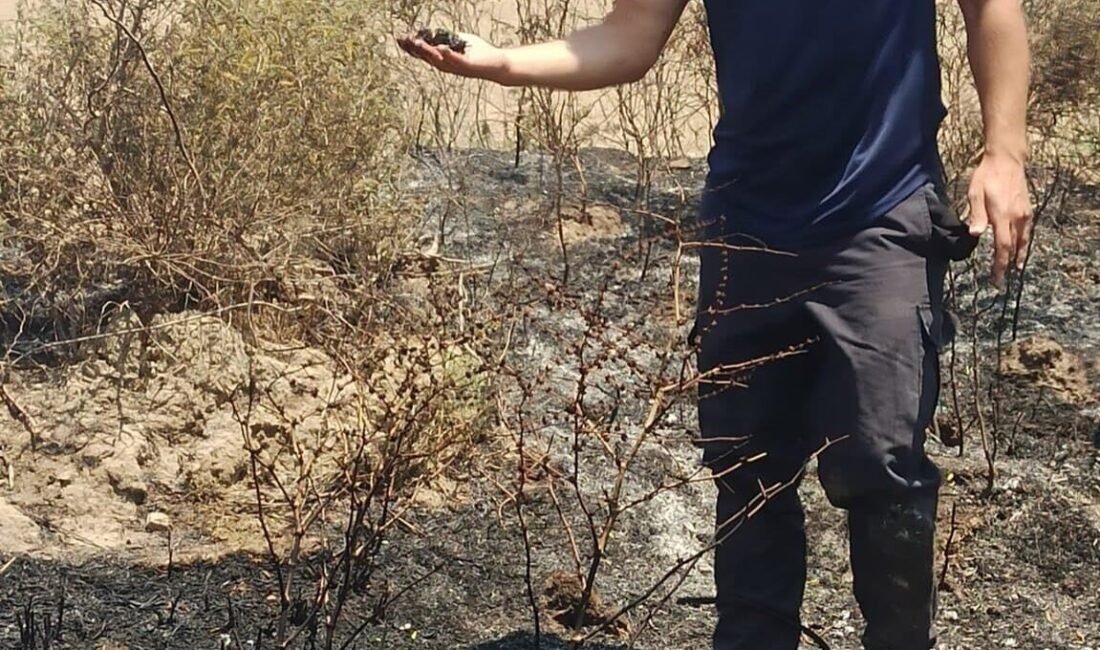 Hatay’da çıkan yangında alevler içinde kalan yavru serçe, itfaiye ekipleri
