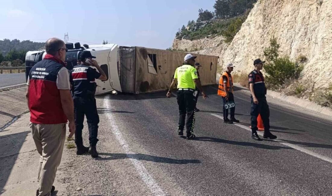 Mersin’in Silifke ilçesinde angus cinsi büyükbaş hayvanların yüklü olduğu tır