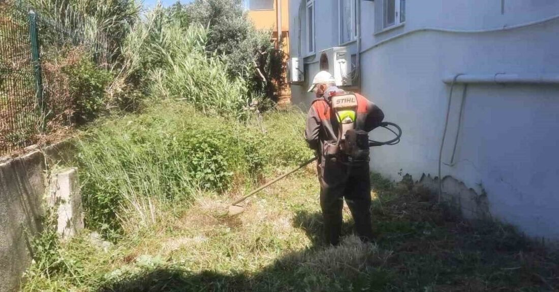 Antakya Belediyesi Park ve Bahçeler Müdürlüğü ekipleri, ilçenin 95 mahallesinde