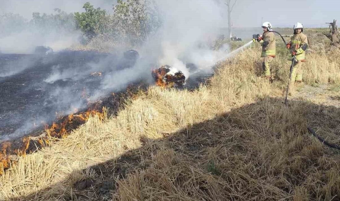 Hatay’da hasadın ardından tarlada toplanan saman balyaları yandı. Yangın, Antakya