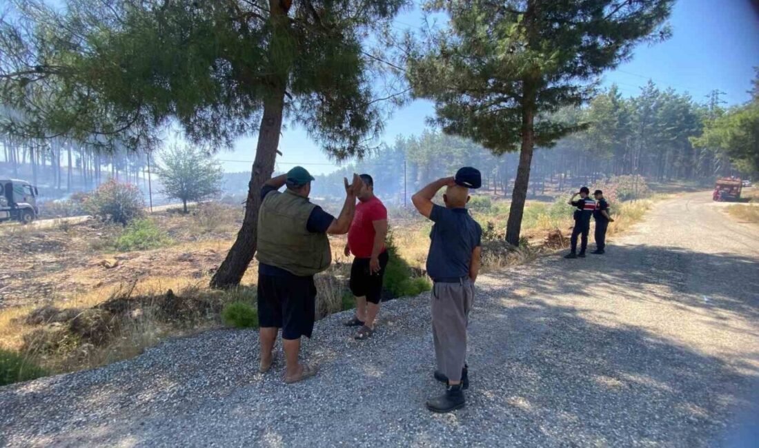 Antalya’nın Aksu ilçesinde çıkan orman yangını, ekiplerin hızlı müdahalesiyle büyümeden