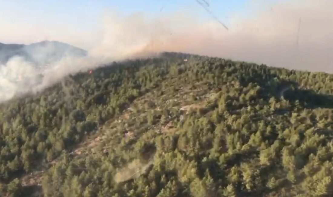 Antalya’nın Gazipaşa ilçesinde çıkan orman yangınına ekipler havadan ve karadan