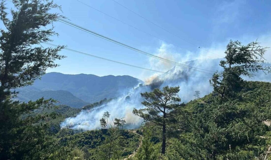 Antalya’nın Aksu ilçesi Kurşunlu mevki ile Alanya ilçesinde çıkan orman