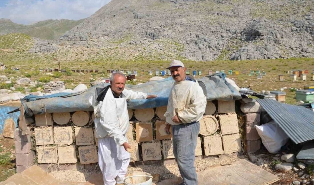 Antalya’da bal üreticileri, havaların ısınmasıyla beraber arı kovanlarını Akseki bölgesindeki