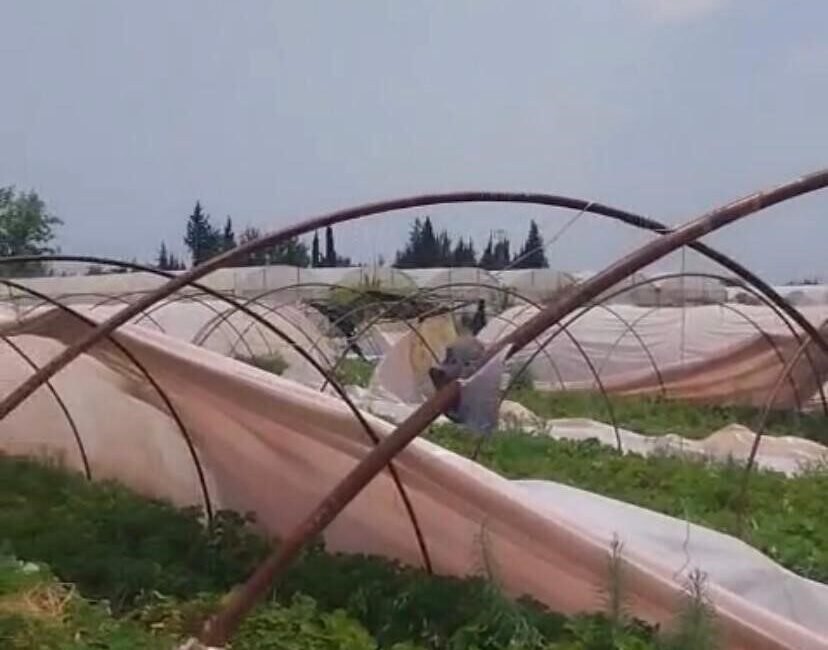 Antalya ’nın Serik ilçesinde meydana gelen hortum seralara zarar verdi.