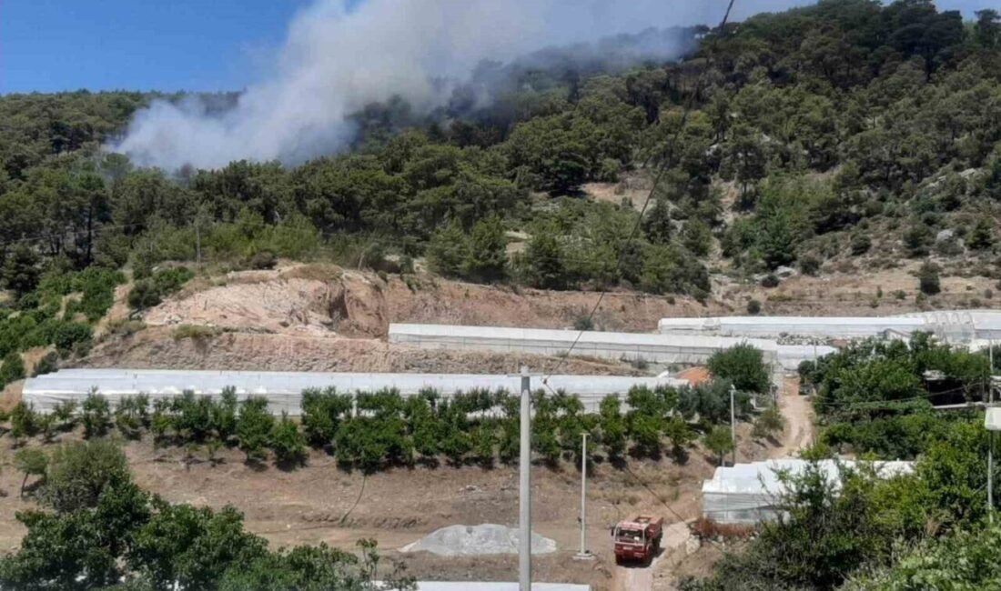 Antalya’nın Kumluca ilçesinde çıkan orman yangınına müdahale ediliyor. Kumluca ilçesinde