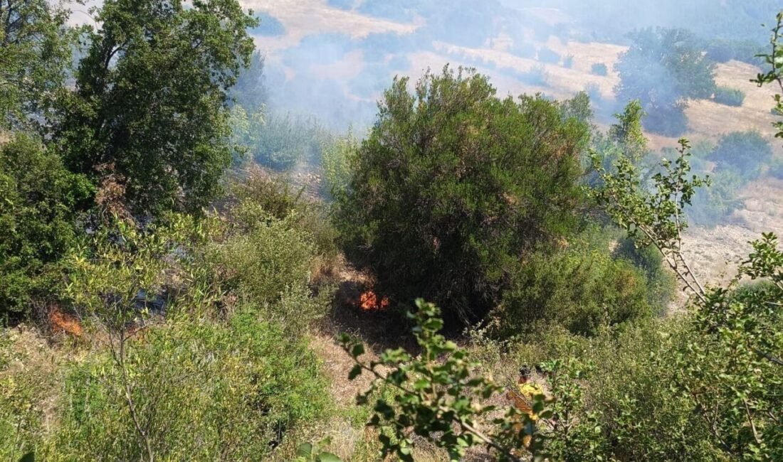 Antalya’nın Kumluca llçesi’ne bağlı Yeni Kışla Mahallesinde otlyak alanda başlayan