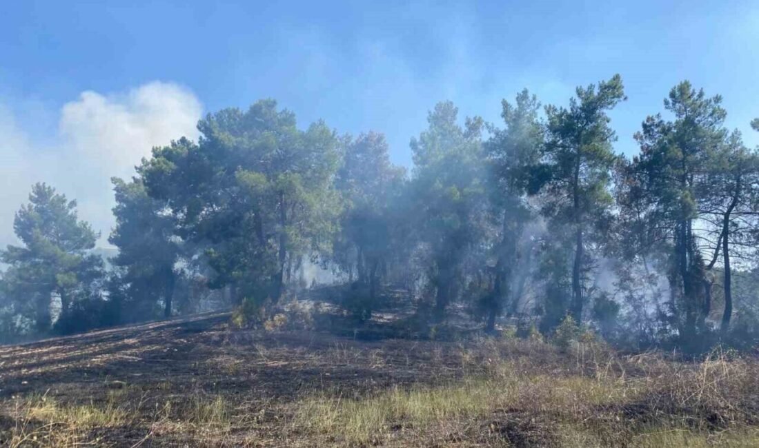 Antalya’nın Serik ilçesinde ormanlık alanda çıkan yangın 2 saatte kontrol