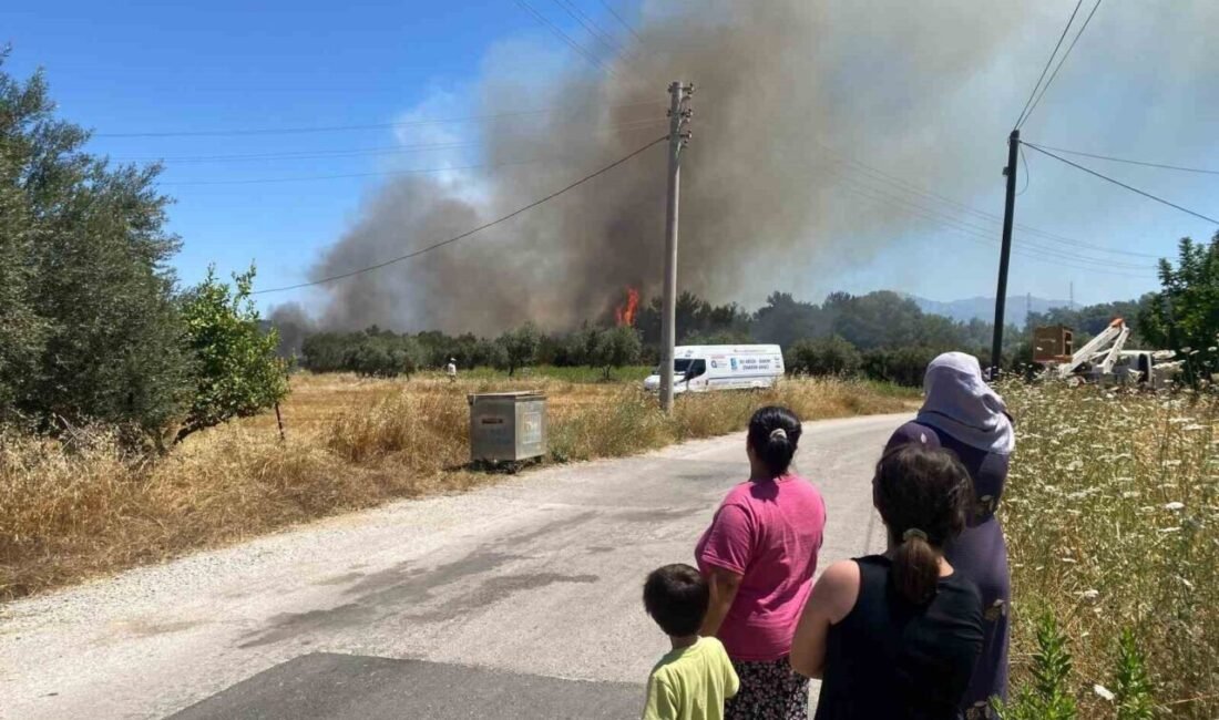 Antalya’nın Aksu ilçesine bağlı Hacıaliler Mahallesi’nde orman yangını çıktı. Aksu