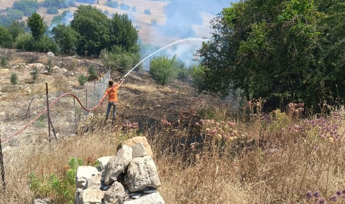 Antalya’nın Kumluca ilçesinde Yenikışla Mahallesi civarında kırsal alanda başlayıp orman