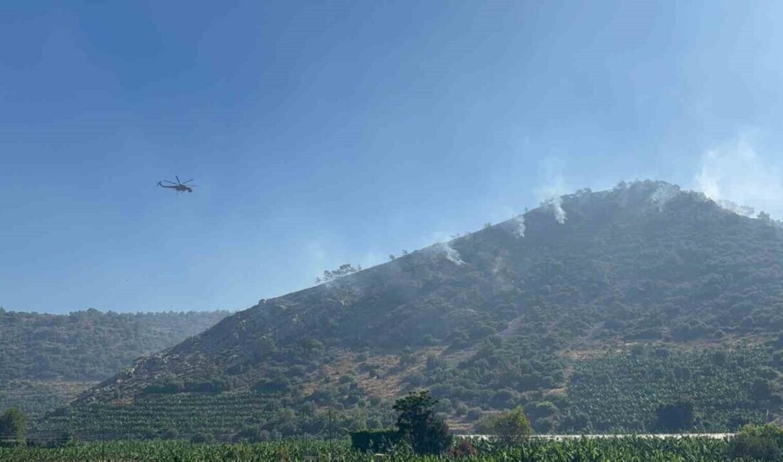 Antalya’nın Gazipaşa ilçesinde sabah saatlerinde çıkan orman yangınına müdahale sürüyor.