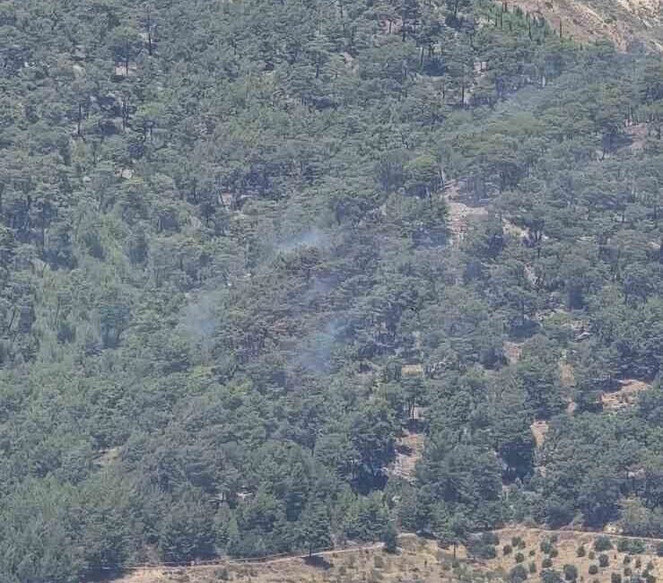 Antalya’nın Kumluca ilçesinde çıkan orman yangını kontrol altına alındı. Kumluca