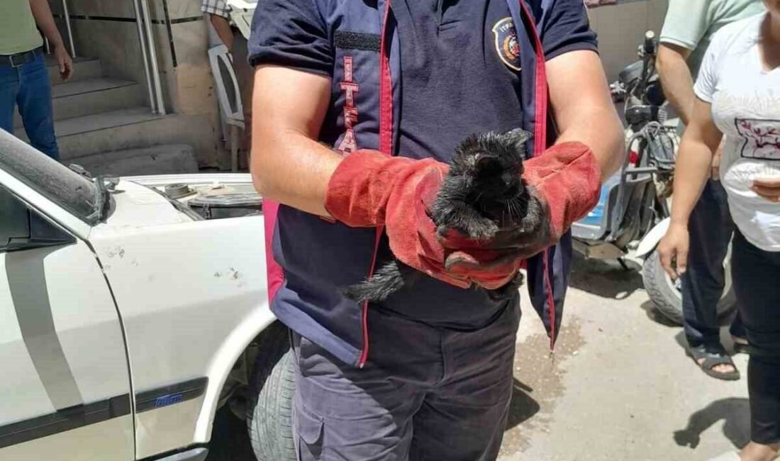 Hatay’ın Belen ilçesinde bir otomobilin motor kısmında sıkışan yavru kedi