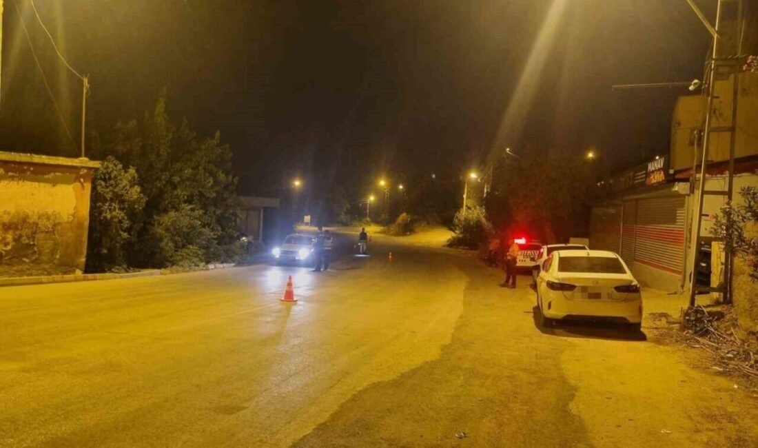 Adana’nın Kozan ilçesinde polisin yaptığı çalışmalarda hapis cezasıyla aranan 2