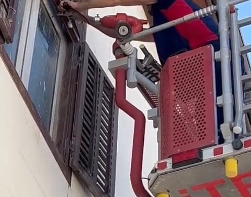 Hatay’da ayağına ip dolanarak mahsur kalan kırlangıç, itfaiye ekipleri tarafından