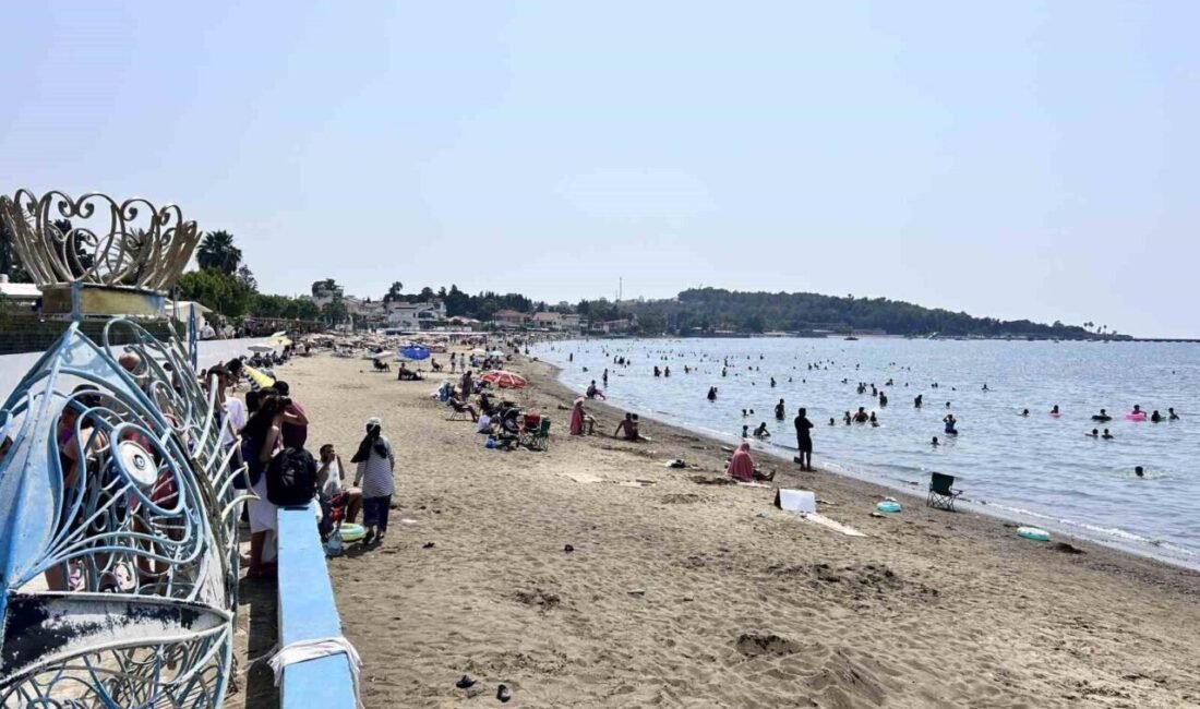 HATAY (İHA) – Hatay ve çevre iller başta olmak üzere,