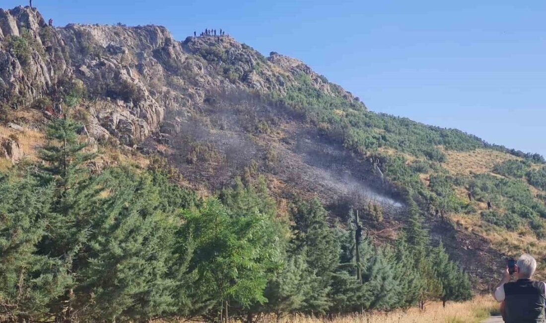 Burdur’un Bucak ilçesinde çıkan orman yangını, ekiplerin hızlı müdahalesiyle kontrol