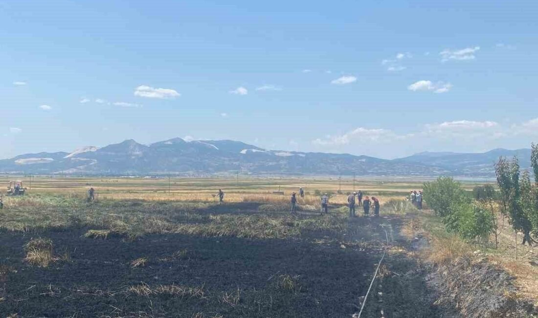 Burdur’da Akyaka köyünde çıkan yangında 3 dönüm buğday ekili alan