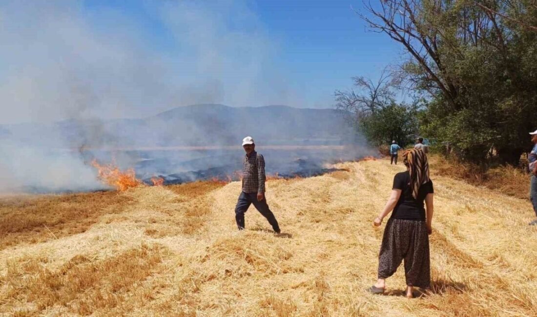 Burdur Merkez Çendik köyünde çıkan yangında, yaklaşık 8 dönüm arazi