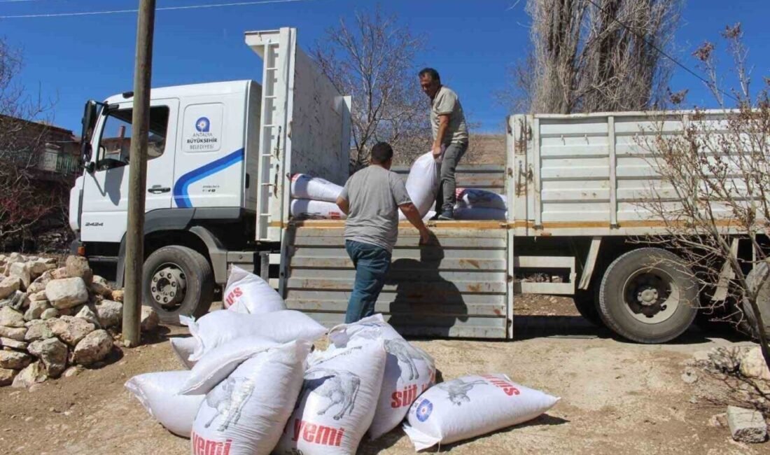 Antalya Büyükşehir Belediyesi, artan maliyetlerle mücadele eden hayvan yetiştiricilerine destek