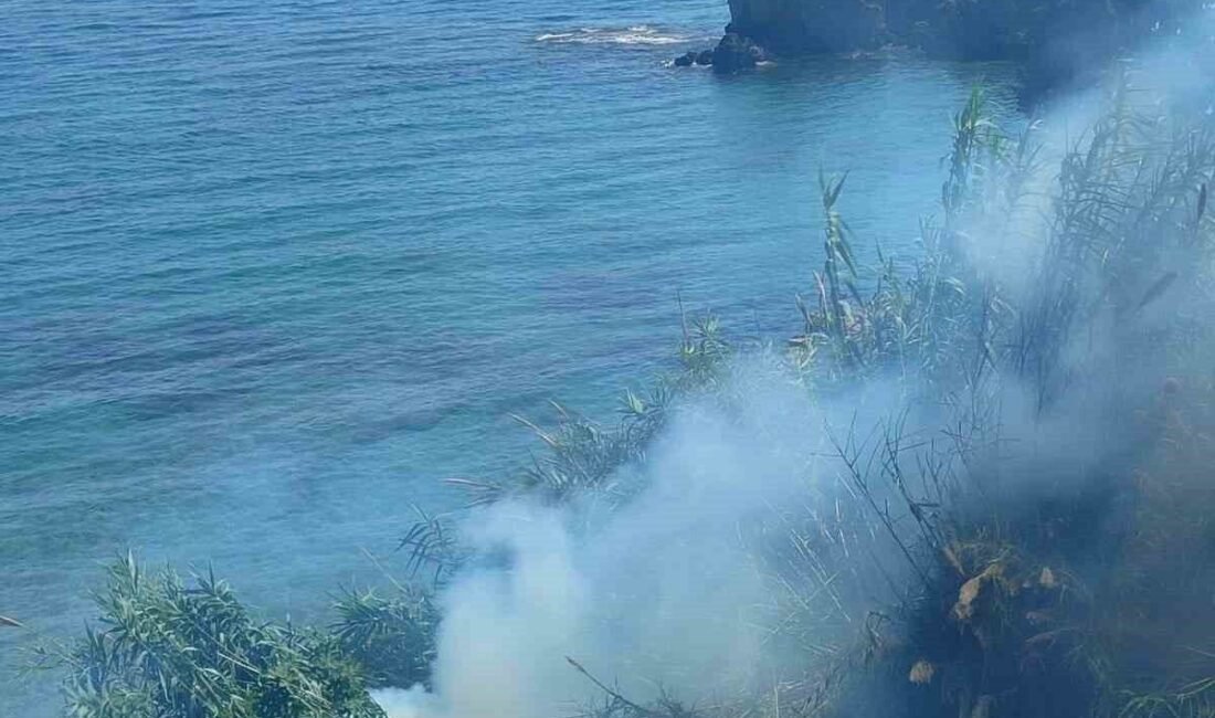 Antalya’nın Alanya ilçesi Okurcalar Mahallesi’nde çalılık alanda yangın çıktı. Yaklaşık