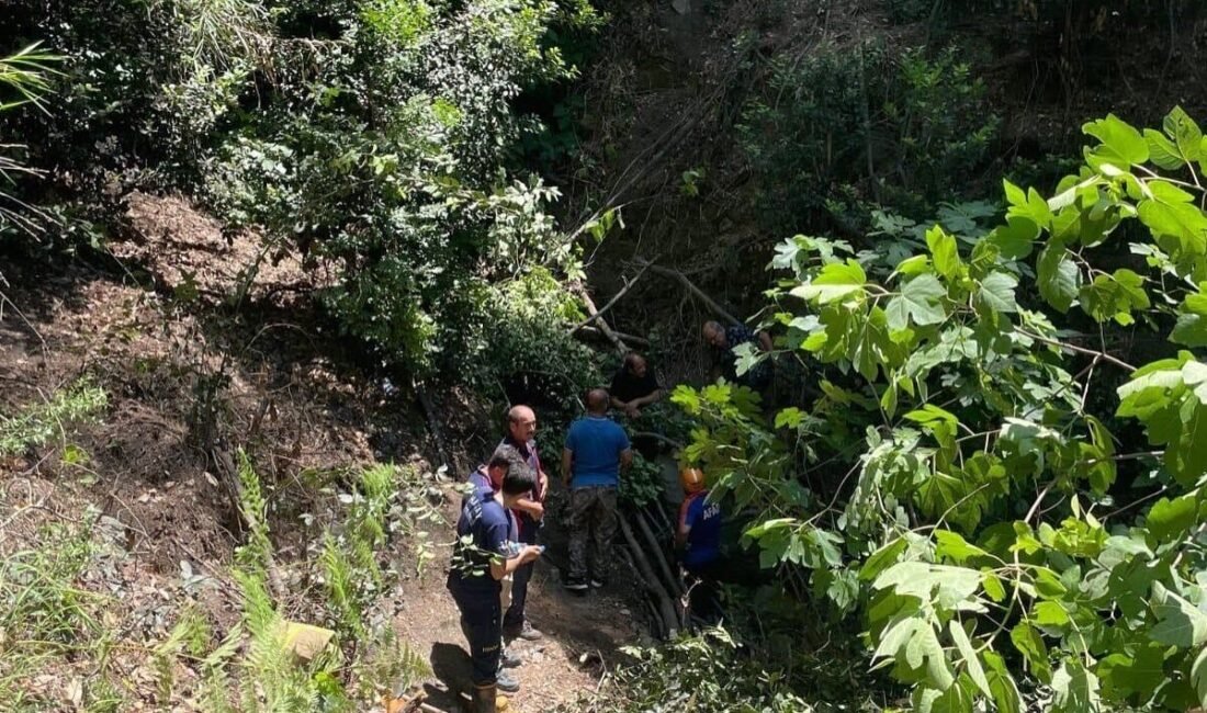 Hatay’da ormanlık alanda dengesini kaybederek uçurumdan düşen şahıs yaralandı. Olay,